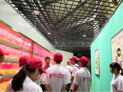 心系三農，讓農業插上科技的翅膀——網絡工程賦能現代農業發展